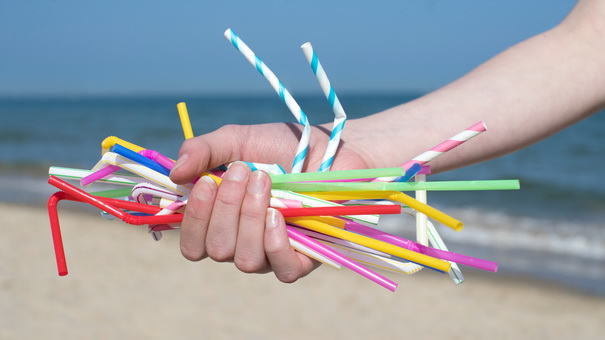 6 Easy Strategies to Stop Shedding Plastic