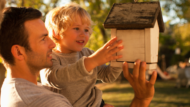 Flip Your Yard Proper right into a Wildlife Refuge for Beneath 