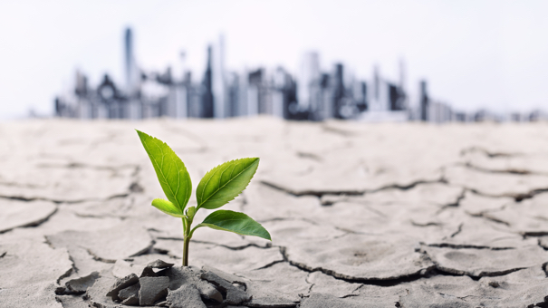 6 Strategies Native climate Change May Impact Your Money