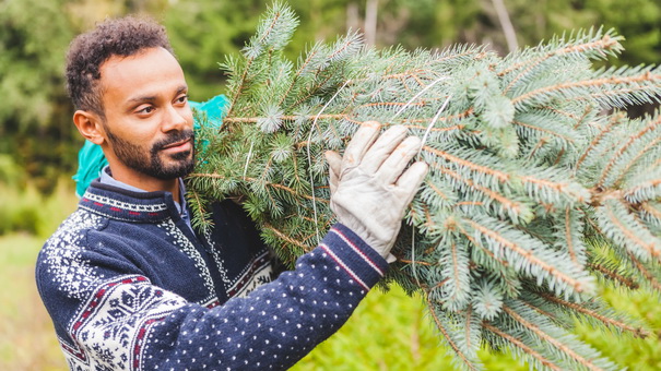 7 Strategies to Repurpose Your Earlier Christmas Tree